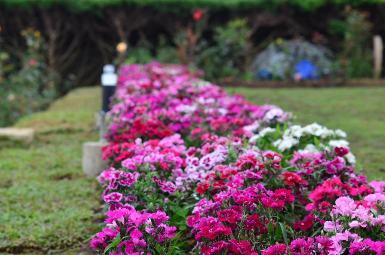 Ripon Grand Hill By Ehi Hotel Nuwara Eliya Eksteriør billede